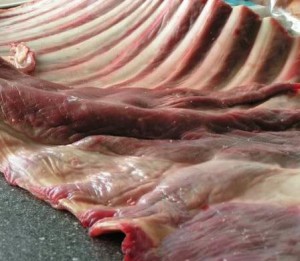Schapenrib